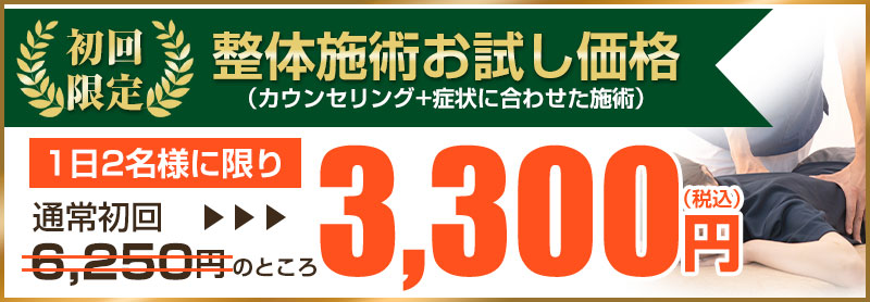 初回価格：3,300円