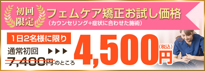 初回価格：4,500円