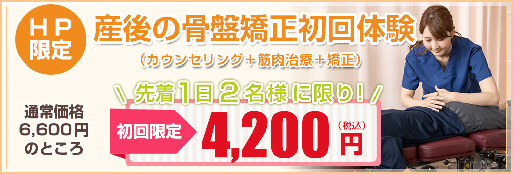 HP限定初回特別価格4200円