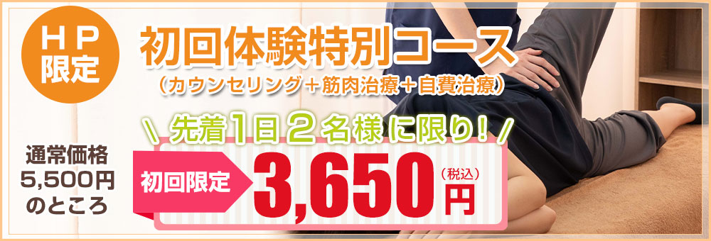 HP限定初回特別価格3650円
